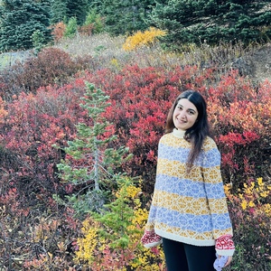 Fundraising Page: Sulin Bulatovic